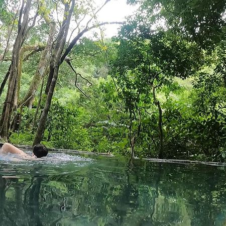 Casa Morella Monteverde Kültér fotó