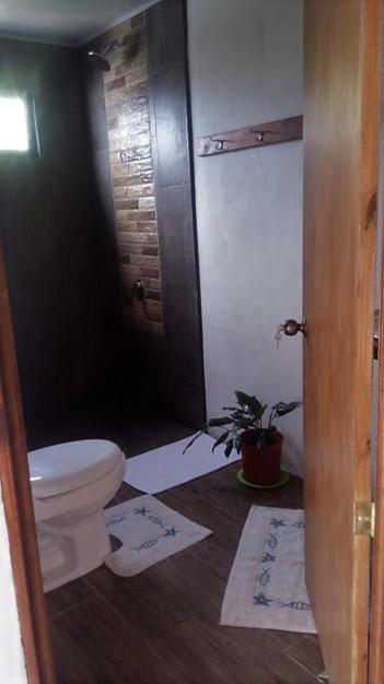Casa Morella Monteverde Kültér fotó